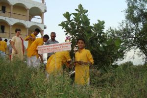 UN Peace Day Jadan-Wish-Tree -1