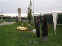 bratislava-peace-tree-2010-02